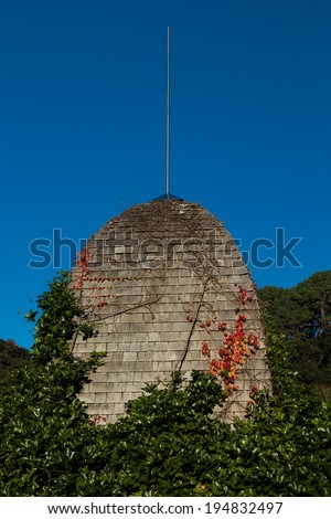 Garden roof turret with plants growing over it.