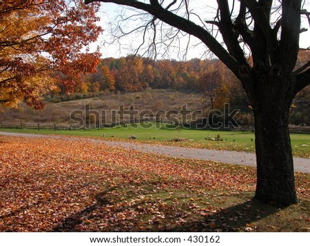 Rural Fall scene