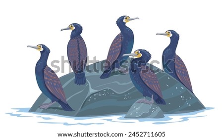 Image, Stock Photo Cormorants sit in the sunrise and dry their plumage