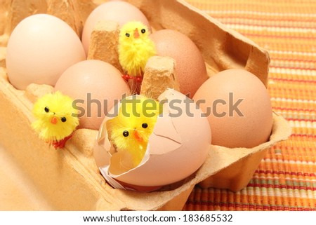 Closeup of Easter chicken in broken eggshell and fresh eggs lying in carton package, Easter eggs in egg box