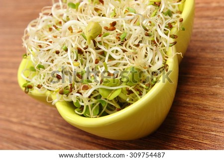 Green bowl with fresh alfalfa and radish sprouts on wooden surface, healthy lifestyle diet food and nutrition