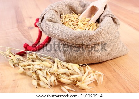 Heap of organic oat grains with wooden spoon in jute bag, ears of oat healthy food and nutrition