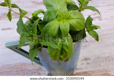 Bunch pf fresh green mint and basil in blue cup on old wooden white table, healthy nutrition