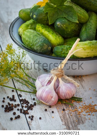 Ripe cucumbers in metal bowl and spices for pickling cucumbers on old white wooden table in garden on sunny day, healthy nutrition