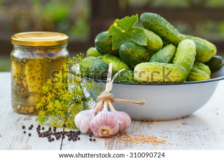 Ripe cucumbers in metal bowl, spices for pickling and jar pickled cucumbers on old wooden white table in garden on sunny day, food and nutrition