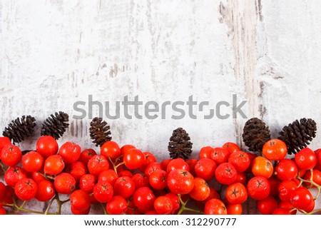 Red autumn rowan and alder cone with copy space for text, old rustic wooden background