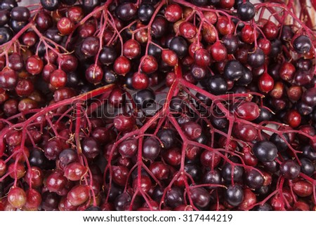 Bunch of fresh elderberry as background, healthy food, nutrition and alternative medicine