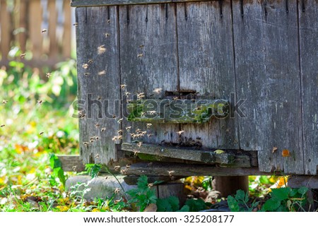 Bees fly in front of the old wooden hive in the garden on sunny day