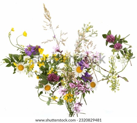 Similar – Image, Stock Photo Flower arrangement with wild flowers on a black background