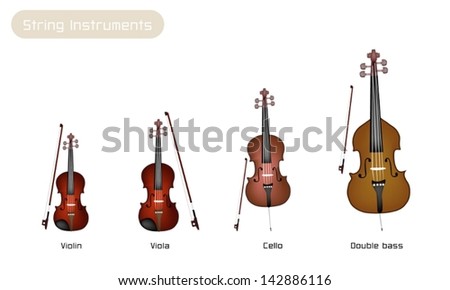 An Illustration Collection Of Beautiful Musical Instrument String ...