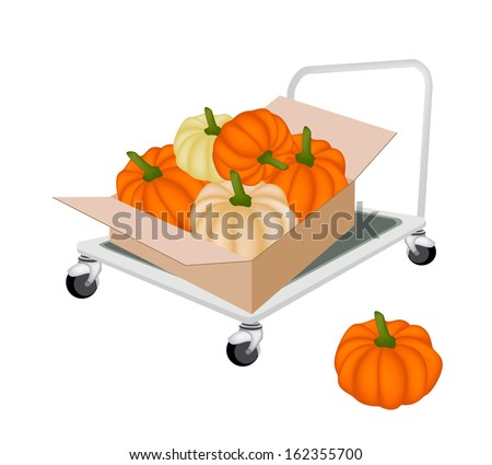 Hand Truck or Dolly Loading Cardboard Box Full with Fresh Pumpkins, Ready for Shipping or Delivery.
