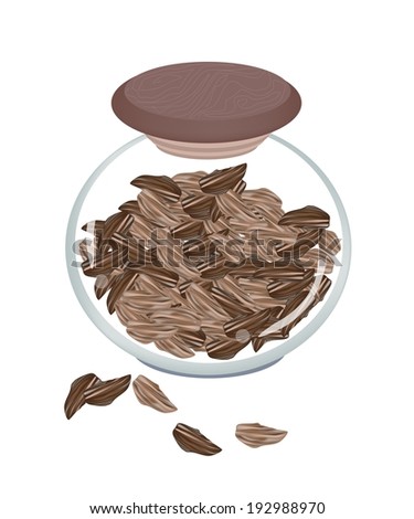 Vegetable and Herb, An Illustration of Dried Pods of Cardamom in A Glass Jar Used for Seasoning in Cooking.