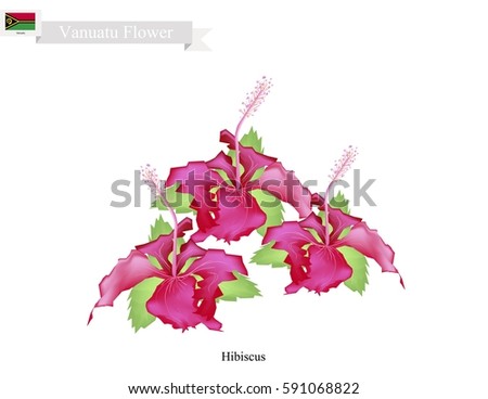 Free Free National Flower Of Svg