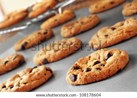 Freshly baked chocolate chip cookies on non-stick cookie sheet with cooling rack in soft focus in background.  Macro with extremely shallow dof.