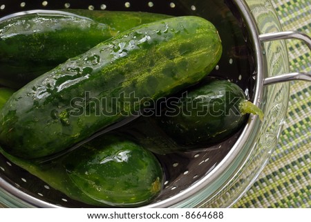 Small cucumbers in a stainless steel strainer submerged in water with color coordinated placemat as background.  Macro with shallow dof