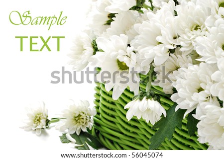 Green wicker basket filled with fresh cut flowers on white background with copy space.