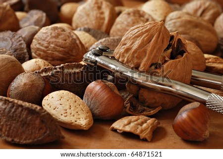 Freshly cracked walnut in nutcracker with selection of whole nuts on wood.  Macro with shallow dof.