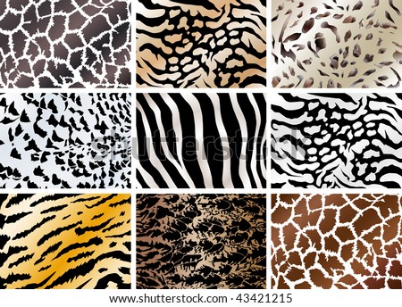 Set Of Animals Prints Stock Photo 43421215 : Shutterstock