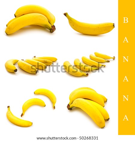 set of different banana images over white background