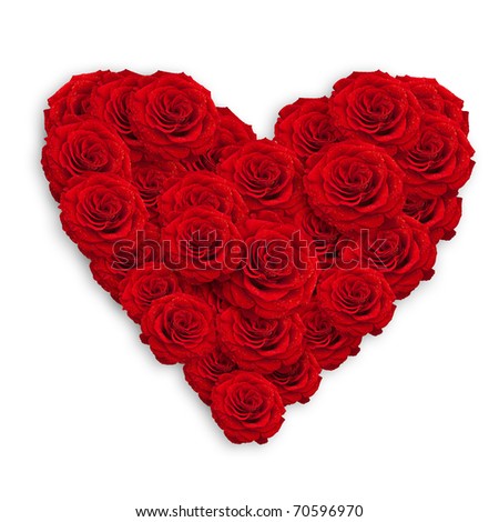 stock photo : fresh red roses in heart shape over white