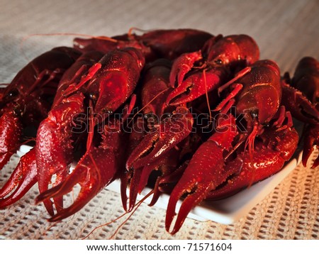 plate full of red boiled crawfishes