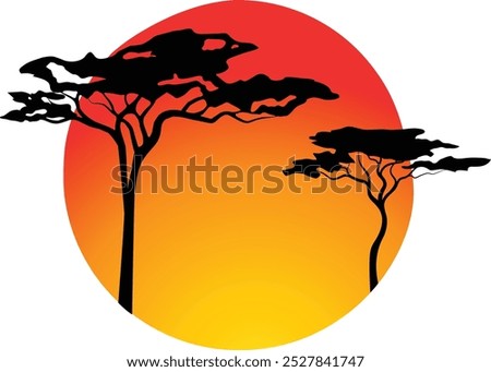 Sequoia tree over the sunset 2