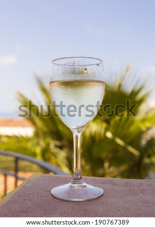 Glass of white wine over bright natural background with blue sky and green plants