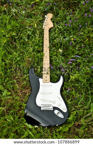 guitar on green grass yard