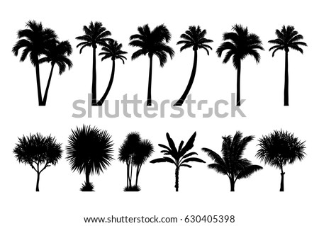 vector set of tropical palm and tree silhouettes. EPS