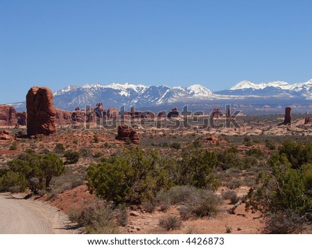 Canyonlands desert scene with La Sal mountains in background.