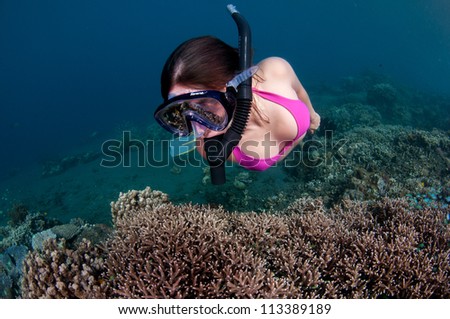 Beautiful young woman snorkels over coral reef.