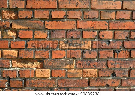 Red brick wall texture background. Square format.