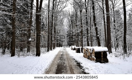 Similar – Foto Bild Winter verschneite leere Landstraße