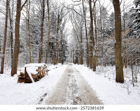 Similar – Foto Bild Winter verschneite leere Landstraße