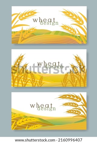 Golden wheat illustration graphic background