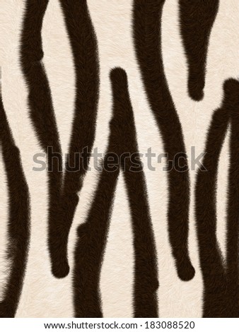 Zebra Fur background