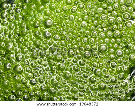 Background with green bubbles