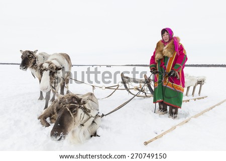 Tarko-Sale, Russia - March 28, 2015: Woman with reindeer team in a national holiday \