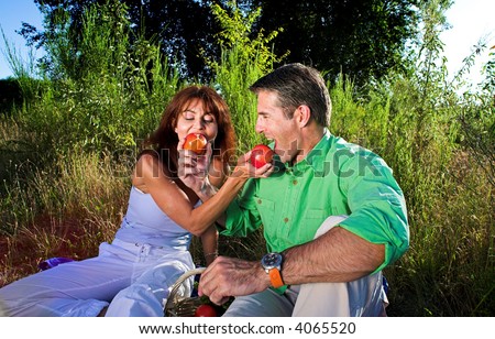 couple having a pic nic outdoor at sunset