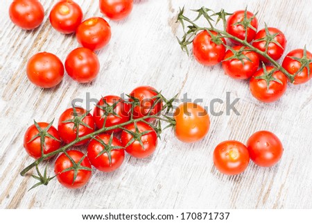 Cherry tomatoes. Branches of cherry tomatoes