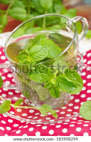 Mint tea with fresh mint leaves. Macro, selective focus
