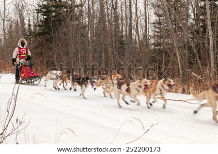 GRAND MARAIS MN - JANUARY 26: Mike Bestgen's team races on the trail during the Mid-distance portion of the John Beargrease Sled Dog Race. Bestgen finished 12th on January 26, 2015 in Grand Marais, MN