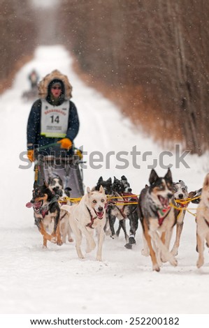 DULUTH MN - JANUARY 27: Ryan Anderson\'s team races on the trail during the Marathon portion of the John Beargrease Sled Dog Race. Anderson finished 1st on January 27, 2015 in Duluth, MN