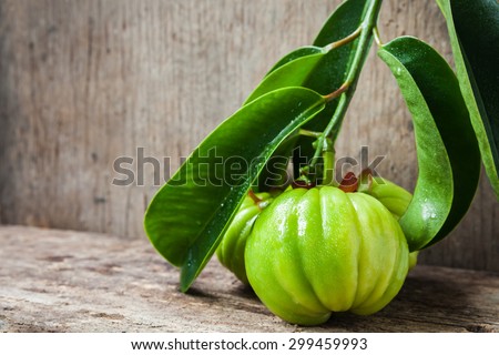 Garcinia atroviridis fresh fruit on wood background, free form copy space. It\'s thai herb and sour flavor lots of vitamin C. Water drops on leafs. Extract as a weight loss product.
