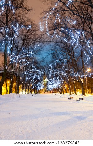 Snowy avenue with Christmas lights on trees in the evening