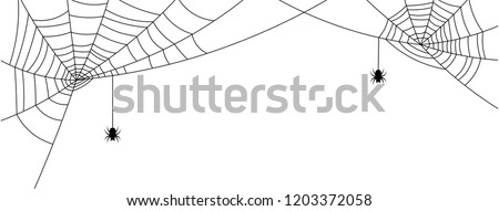 White Halloween banner with spiderweb and spiders. Vector background.
