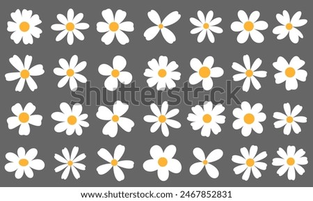 Similar – Image, Stock Photo daisies Daisy Flower