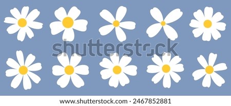 Similar – Image, Stock Photo Daisies