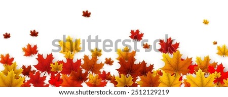 Yellow and red autumn leaves float gently on a white background, creating a serene and seasonal design perfect for fall-themed projects and backgrounds.