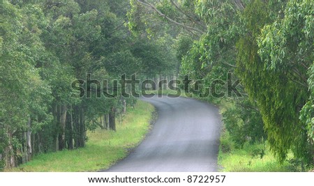 Australian country road with disappearing bend